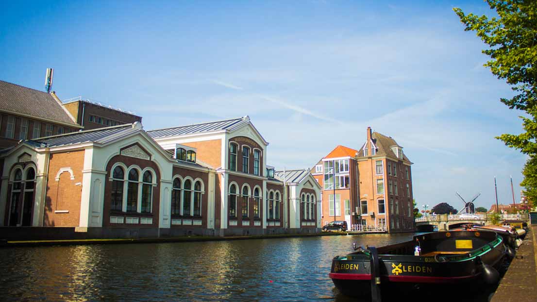 Ӱҵ in Leiden, the Netherlands