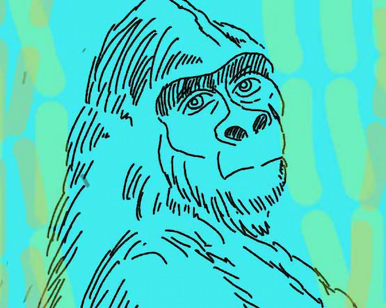 Still shot of a gorilla against a blue-green background, from Professor Michael Long's animated short film, "Gorilla Tactics."
