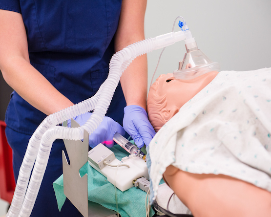 Student practicing on a simulation patient